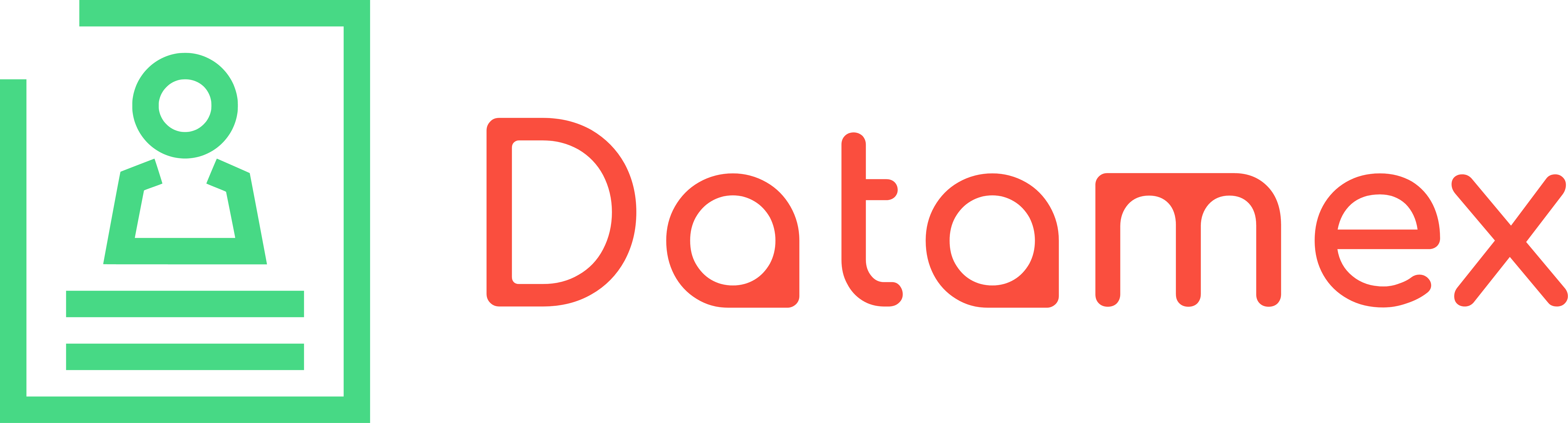 Datamex logo